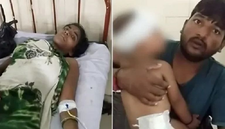 النمر ضل طريقه من محمية مجاورة لقرية المرأة