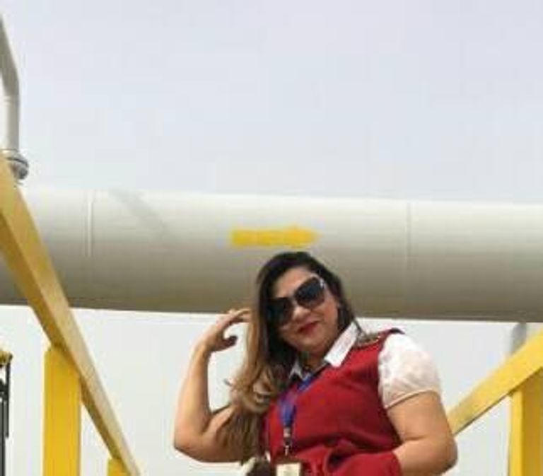 المهندسة الدكتورة منال متولي