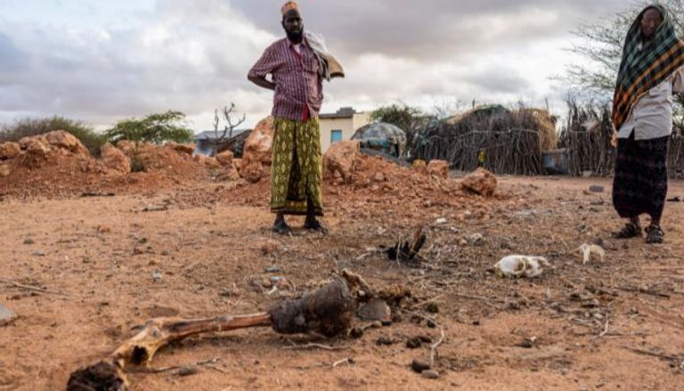 القرن الأفريقي يشهد إحدى أقسى موجات الجفاف- أرشيفية