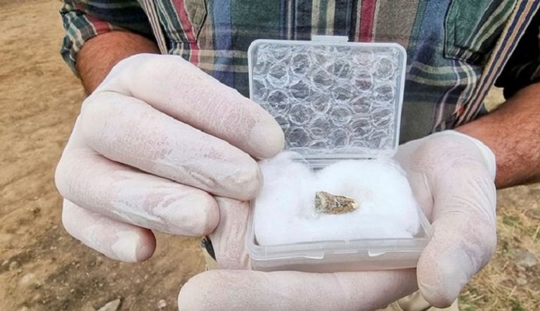 السنة البشرية هي الأقدم خارج أفريقيا