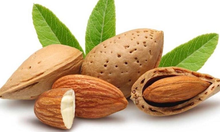 أطعمة مفيدة في خفض الكوليسترول - أرشيفية