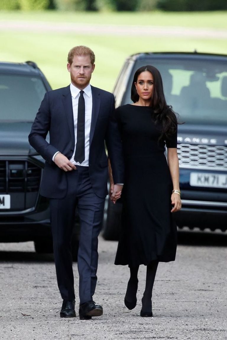 ميجان ماركل والأمير هاري