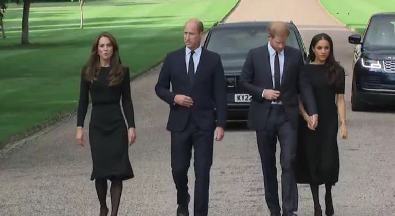 ميجان ماركل والأمير هاري