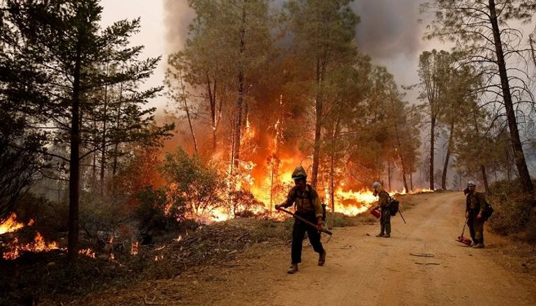 حرائق الغابات في كاليفورنيا