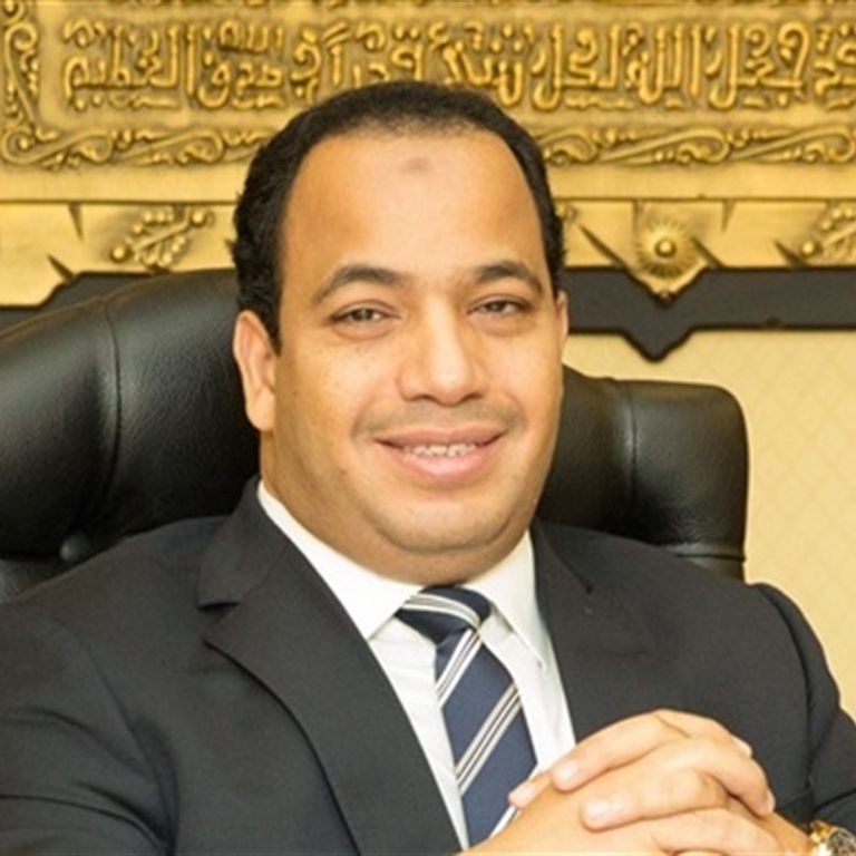 الدكتور عبدالمنعم السيد رئيس مركز القاهرة للدراسات الاقتصادية عملة بيتكوين - أرشيفية