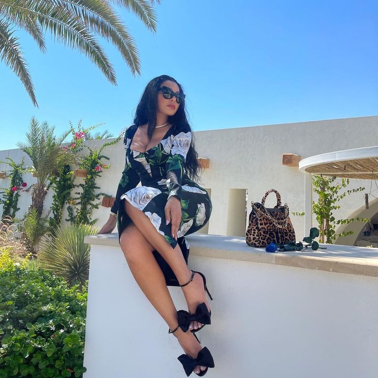 النجمة اللبنانية هيفاء وهبي