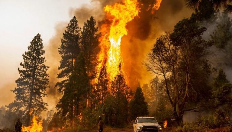 حرائق الغابات في غرب أمريكا