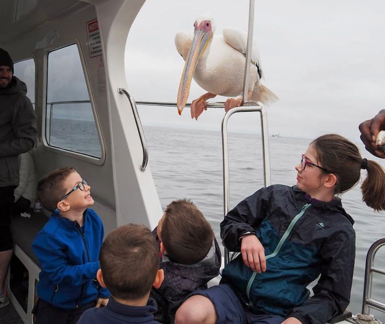 الأسرة الكندية تسابق الزمن لزيارة العالم قبل إصابة أبنائهم بالعمى