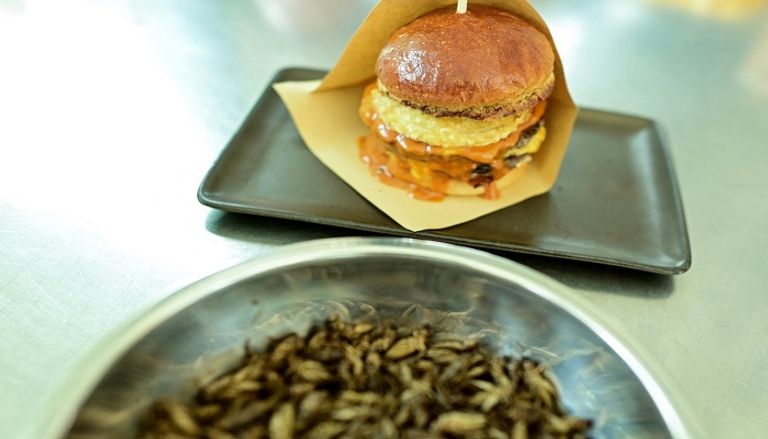 برجر مصنوع من الصراصير في بانكوك