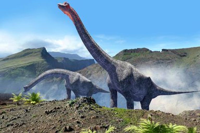 برتغالي يكتشف حفرية ديناصور