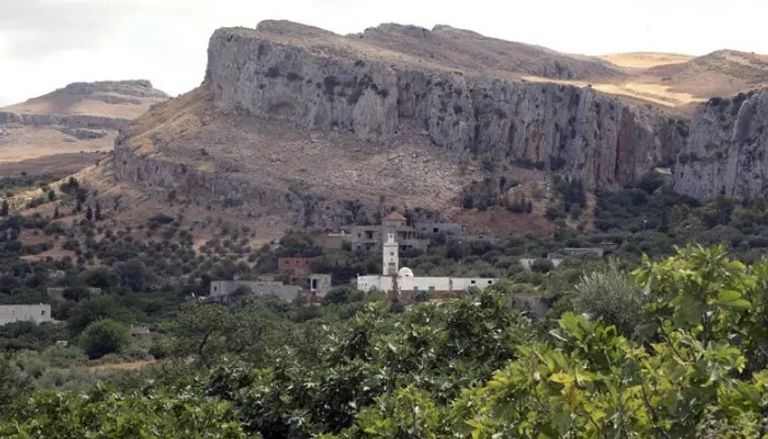 بلدة دْجِبَّة الجبليّة تزرع 13 نوعا من أشجار التين