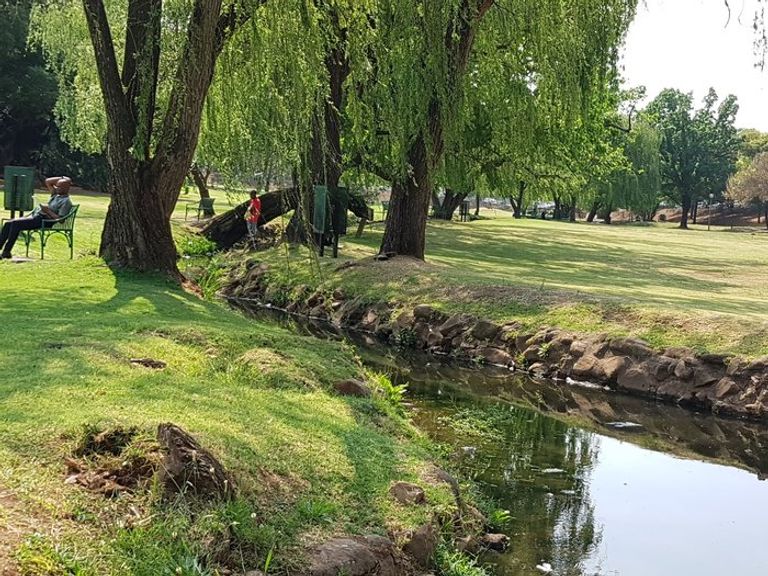 حديقة ماغنوليا ديل أحد الحدائق في بريتوريا أجمل الحدائق في بريتوريا.. 6 حدائق ساحرة