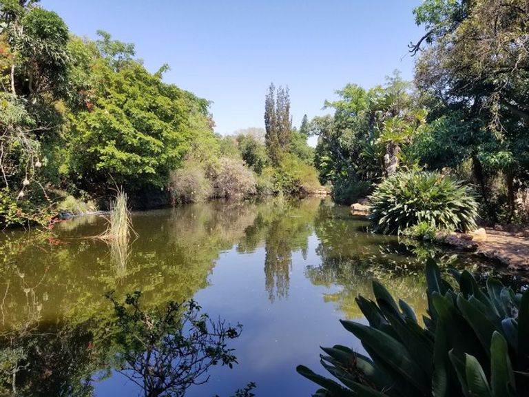 حديقة جان سيليرز بارك أحد أجمل الحدائق في بريتوريا أجمل الحدائق في بريتوريا.. 6 حدائق ساحرة