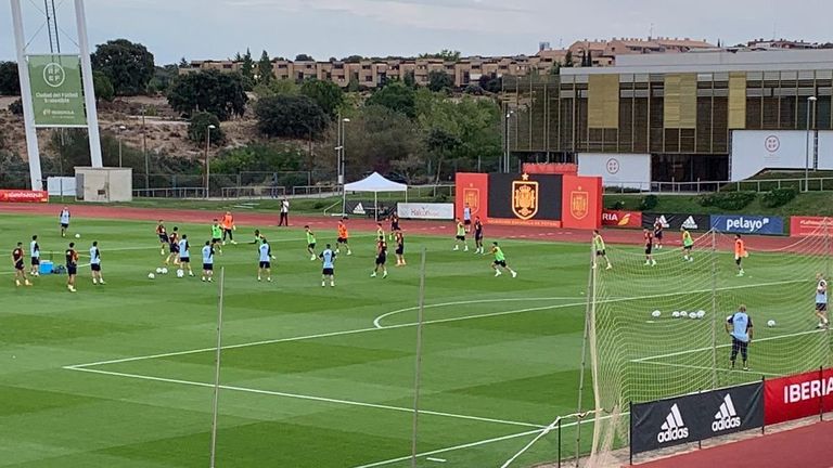 لويس إنريكي مدرب منتخب إسبانيا