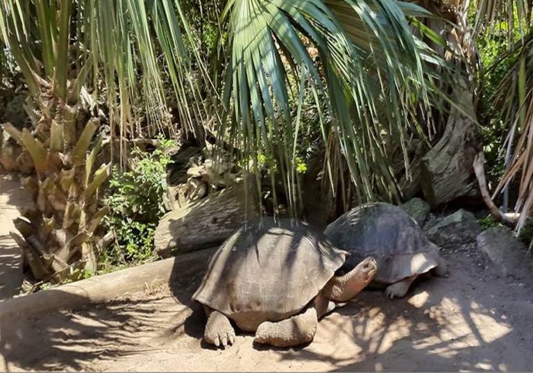 حديقة حيوان برمودا أحد أفضل الأنشطة السياحية في جزر برمودا أفضل الأنشطة السياحية في جزر برمودا