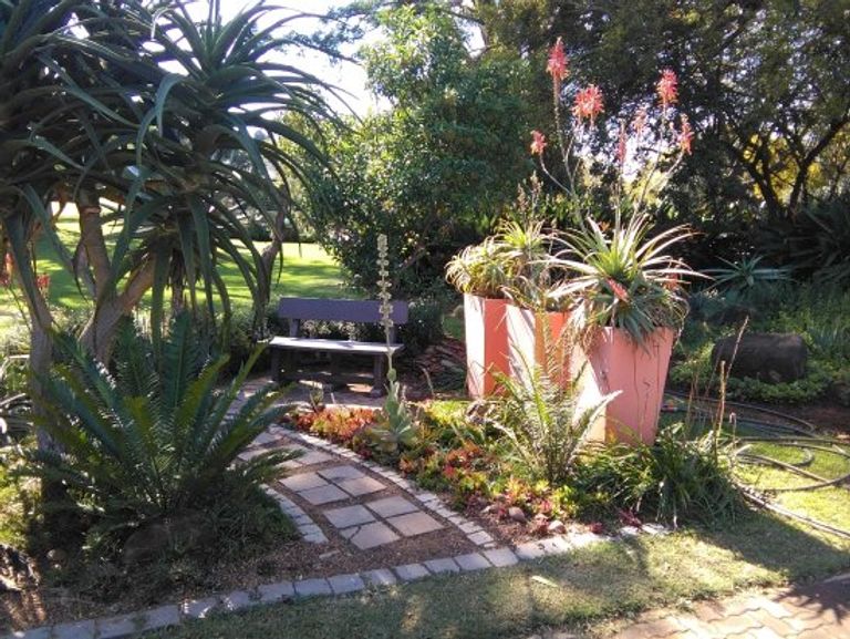 حديقة بريتوريا النباتية الوطنية أحد أماكن السياحة في بريتوريا السياحة في بريتوريا