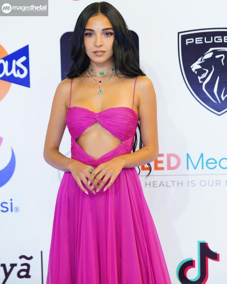 سلمى أبو ضيف سلمى أبو ضيف - أرشيفية