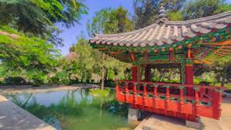 الحديقة الدولية في مصر