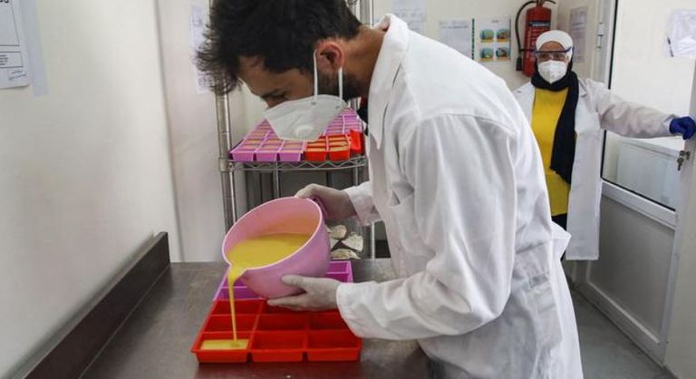 حلب الحمير- أرشيفية