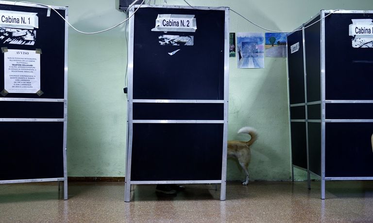 كلب يرافق صاحبه داخل اللجنة الانتخابية بإيطاليا- رويترز
