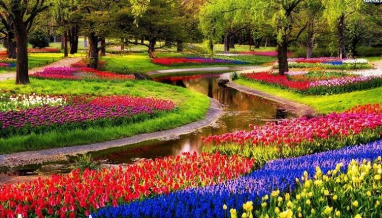 (بالصور) كيوكينهوف أجمل حديقة في هولندا