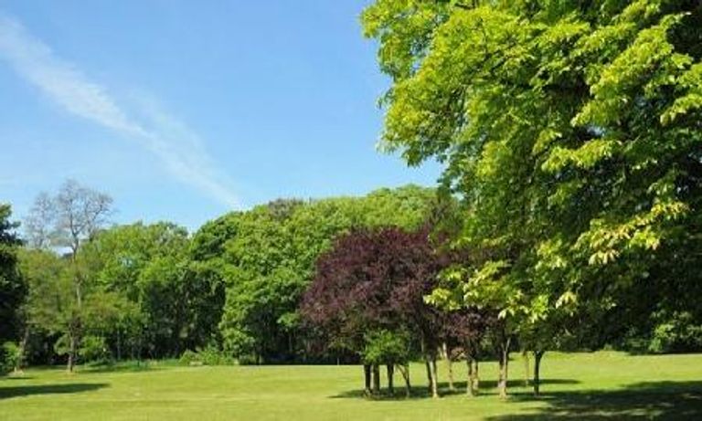 حديقة تورناي سولفاي أحد أجمل الحدائق في بروكسل