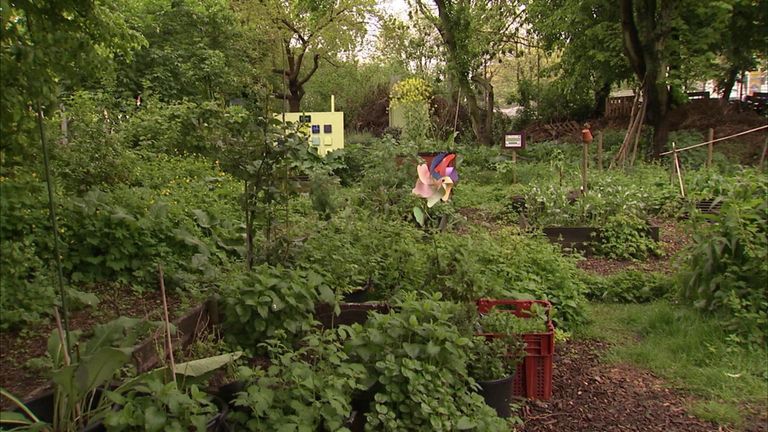 Fond 'Roy Regional Park أحد أجمل الحدائق في بروكسل