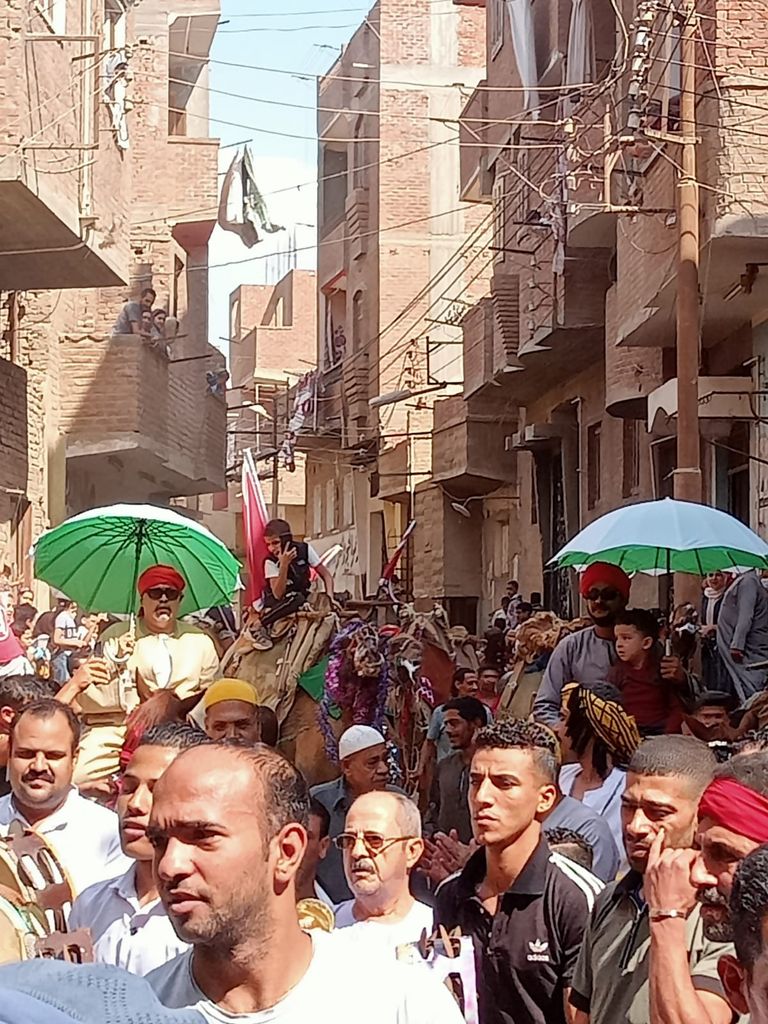 موكب المولد النبوي الشريف - أرشيفية