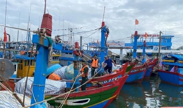 الإعصار تسبب في انقطاع التيار الكهربائي