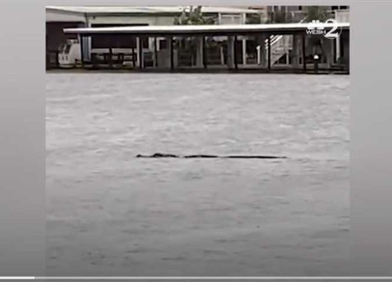 توابع إعصار إيان في فلوريدا