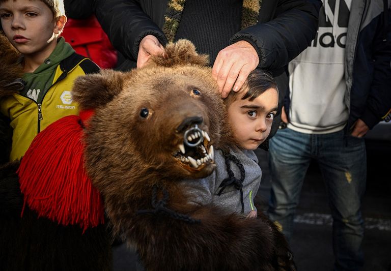 جانب من الاحتفال بمهرجان الدببة في رومانيا