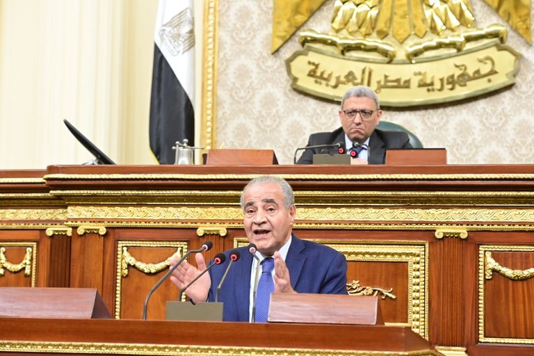 رئيس مجلس الوزراء المصري أثناء الإفراج عن السلع بالموانئ