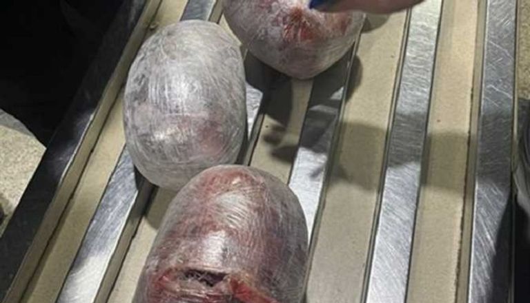 المتهم أخفى الكبتاجون داخل لحوم مجمدة