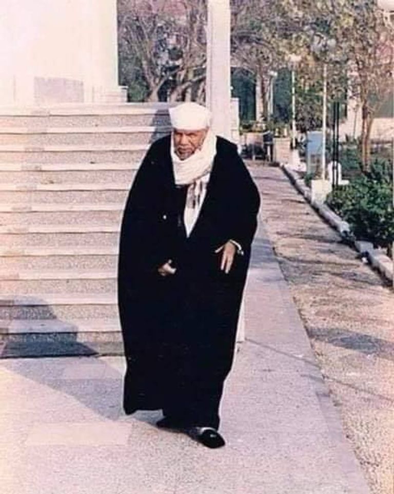 محمد متولي الشعراوي - أرشيفية