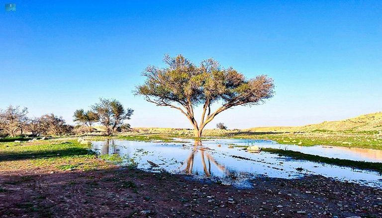 الأمطار ستؤدي إلى جريان الأودية- أرشيفية