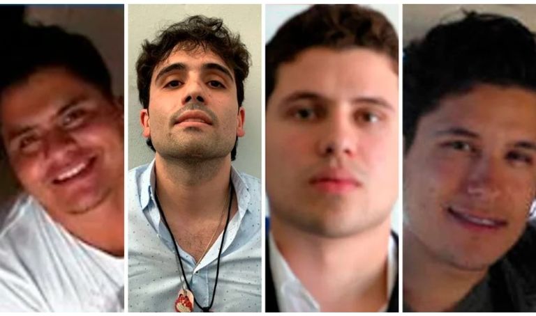 أبناء إل تشابو بالترتيب إيفان أرشيفالدو غوزمان سالازار، وخيسوس ألفريدو غوزمان سالازار، وأوفيديو غوزمان لوبيز، وخواكين غوزمان لوبيز أوفيديو غوزمان نجل إل تشابو عقب اعتقاله