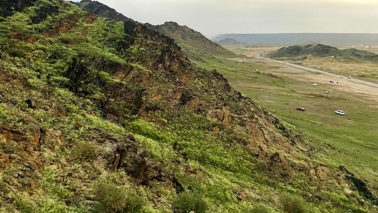 جبال مكة المكرمة تكتسي باللون الأخضر