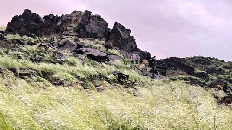 جبال مكة المكرمة تكتسي باللون الأخضر