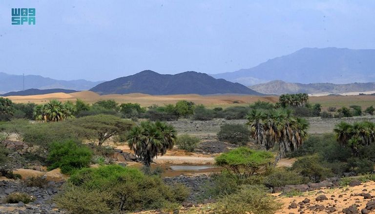 سريان وادي الرمة في القصيم