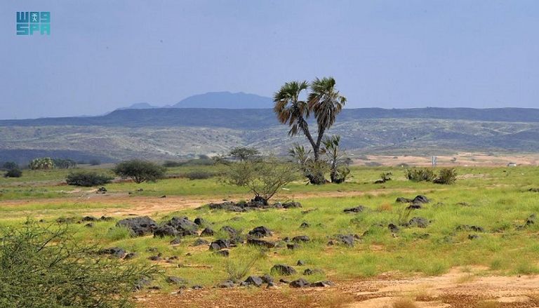 سريان وادي الرمة في القصيم