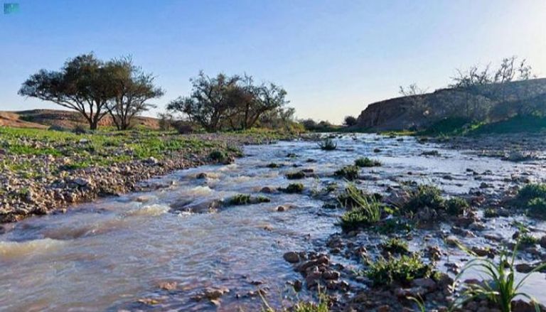 الرياض تستعد لأمطار رعدية غزيرة- أرشيفية