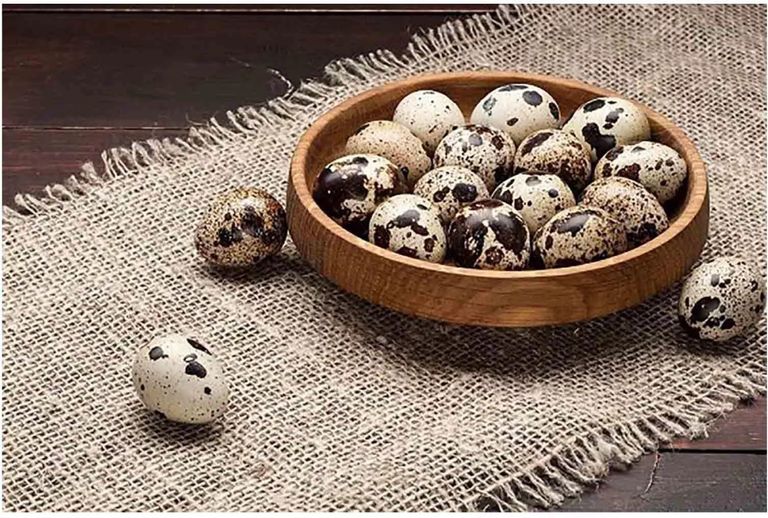 بيض السمان- أرشيف