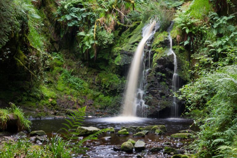 حديقة "Kielder" أحد أماكن اسياحة في نيوكاسل بريطانيا السياحة في نيوكاسل بريطانيا… أفضل الأماكن والفنادق المريحة