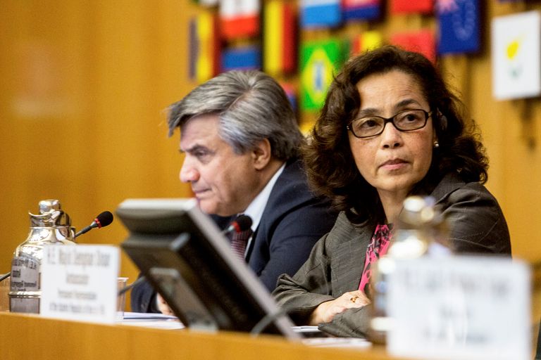 السفيرة ماريا لورا دا روشا