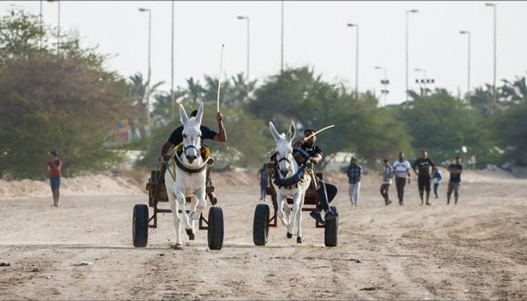 سباق الحمير في البحرين