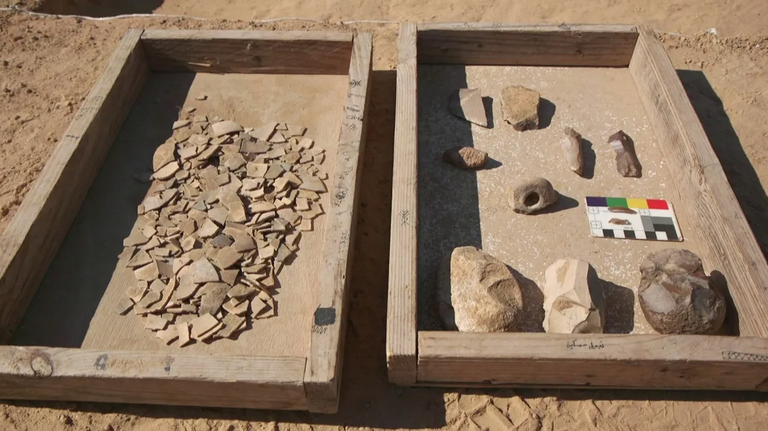 عُثِر على قشور مكسورة للبيض العتيق بجوار مدفأة قديمة