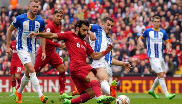 ليفربول وبرايتون في الدوري الإنجليزي