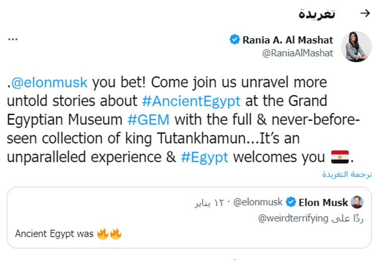 الملياردير الأمريكي إيلون ماسك