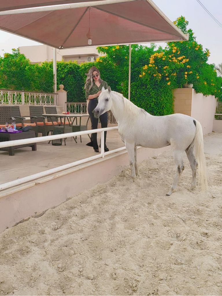 المذيعة المصرية منى العمدة