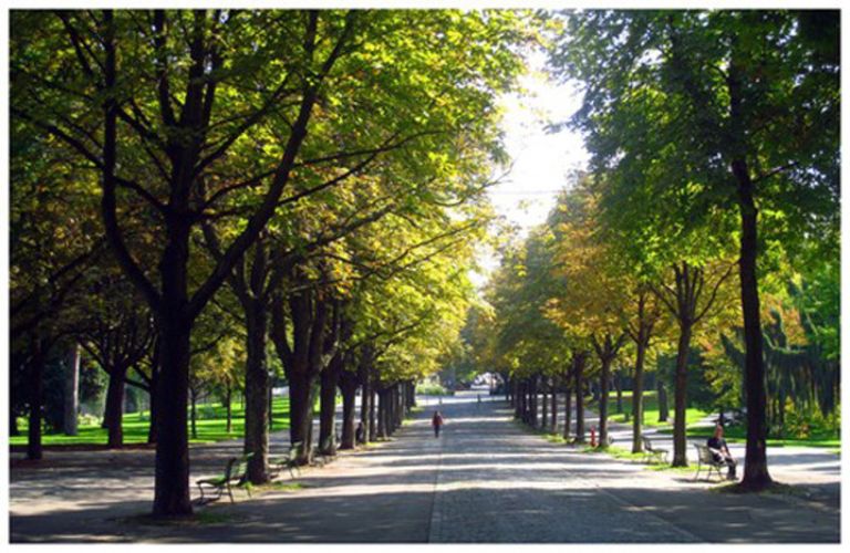 حديقة باستيون بارك أحد أماكن السياحة في حنيف أماكن السياحة في جنيف… أفضل 5 مقاصد أبرزها الحديقة الإنجليزية